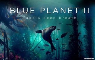 蓝色星球 第二季,揭秘地球海洋生态的奇迹之旅