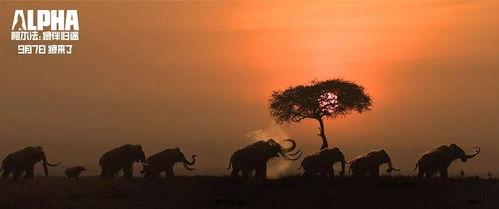 归途 2018,岁月流转中的温馨回忆与感悟