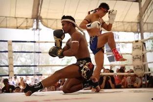 痛心疾首：泰拳真面目,泰拳背后的真实面貌