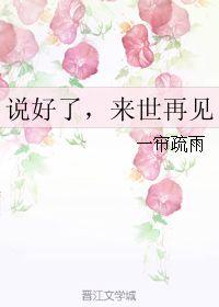 来世再见 第一季,穿越时空的宿命轮回