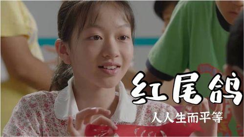 红尾鸽,翱翔天际的美丽使者