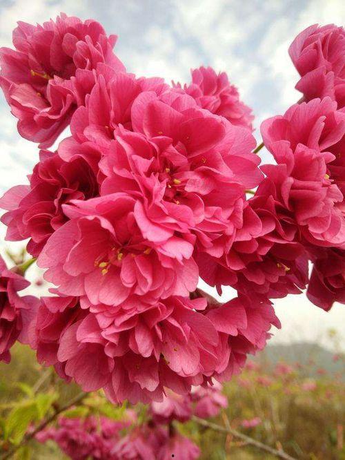 繁华似锦,都市繁华画卷的璀璨瞬间